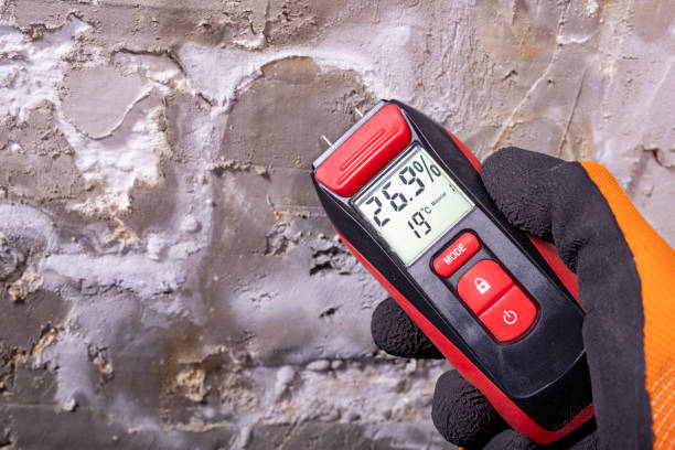 Best Certified Mold Removal  in Southwood Acres, CT